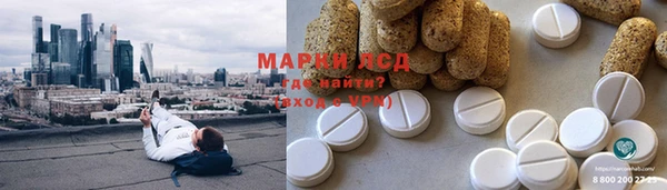 крисы Алзамай