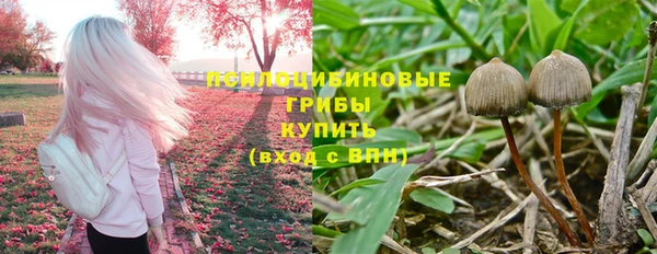 гидропоника Алексеевка