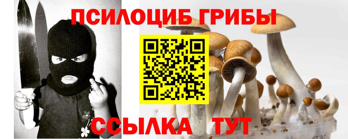 Псилоцибиновые грибы прущие грибы  Галлюциногенные грибы мухоморы  Апатиты  Вход с VPN 