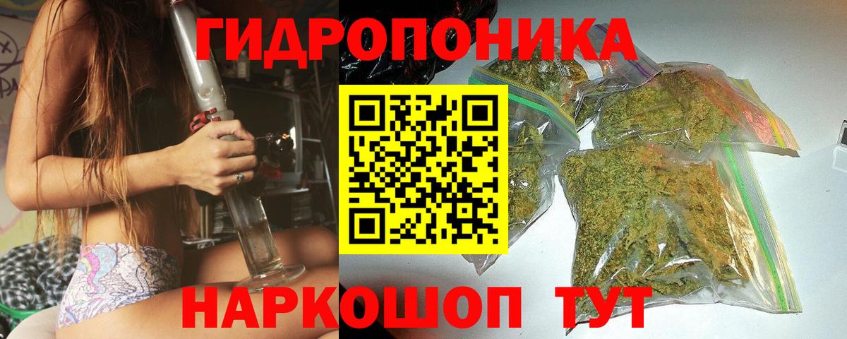 Каннабис планчик  Бошки марихуана индика  Апатиты  Бошки марихуана гибрид  Канабис MAZAR  Вход с VPN 